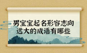 男寶寶起名形容志向遠(yuǎn)大的成語有哪些