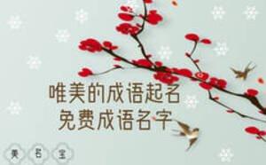 唯美的成語起名，免費(fèi)成語名字