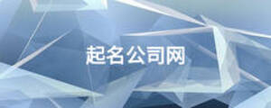 起名公司網(wǎng)