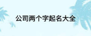 公司兩個(gè)字起名大全