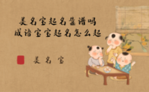 美名寶起名靠譜嗎，成語寶寶起名怎么起