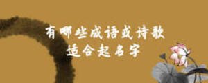 有哪些成語(yǔ)或詩(shī)歌適合起名字