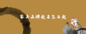 家具品牌起名怎么起