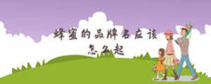 蜂蜜的品牌名應(yīng)該怎么起