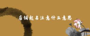 店鋪起名注意什么意思