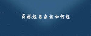 商標(biāo)起名應(yīng)該如何起