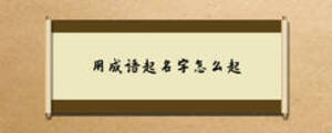 用成語起名字怎么起
