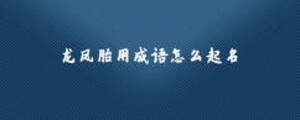 龍鳳胎用成語怎么起名