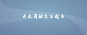 大米商標(biāo)怎么起名