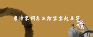 唐詩宋詞怎么給寶寶起名字