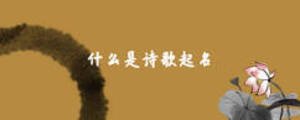 什么是詩歌起名