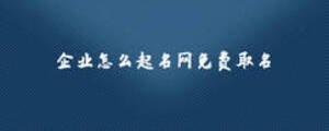 企業(yè)怎么起名網(wǎng)免費取名