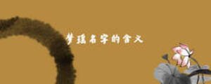 夢(mèng)瑤名字的含義