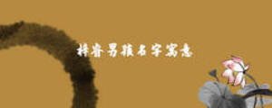 梓睿男孩名字寓意