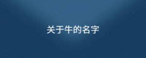 關(guān)于牛的名字