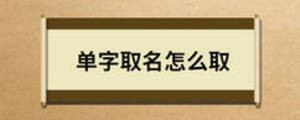 單字取名怎么取