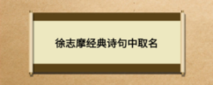 徐志摩經典詩句中取名