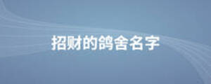 招財的鴿舍名字
