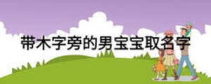 帶木字旁的男寶寶取名字