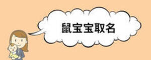 鼠寶寶取名