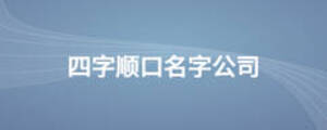 四字順口名字公司
