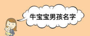 牛寶寶男孩名字