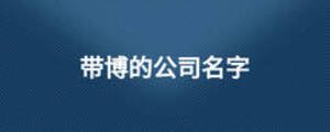 帶博的公司名字