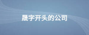 晟字開(kāi)頭的公司