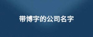 帶博字的公司名字