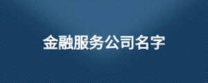 金融服務(wù)公司名字