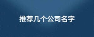推薦幾個公司名字