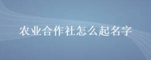 農業合作社怎么起名字