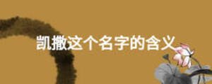 凱撒這個名字的含義