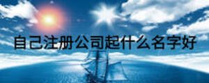 自己注冊公司起什么名字好