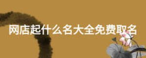 網(wǎng)店起什么名大全免費(fèi)取名