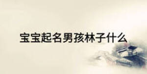 寶寶起名男孩林子什么