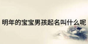 明年的寶寶男孩起名叫什么呢