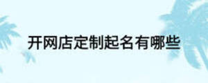 開網(wǎng)店定制起名有哪些