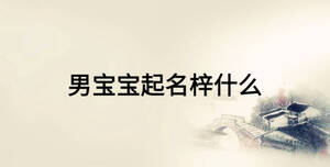 男寶寶起名梓什么