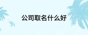 公司取名什么好