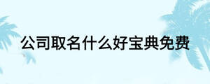 公司取名什么好寶典免費(fèi)