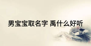 男寶寶取名字 禹什么好聽