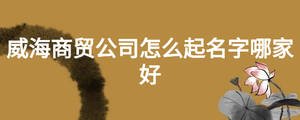 威海商貿公司怎么起名字哪家好