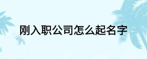 剛?cè)肼毠驹趺雌鹈? width=