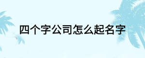 四個(gè)字公司怎么起名字