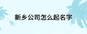 新鄉(xiāng)公司怎么起名字
