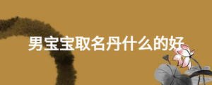 男寶寶取名丹什么的好