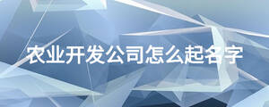 農(nóng)業(yè)開發(fā)公司怎么起名字