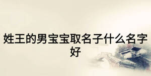 姓王的男寶寶取名子什么名字好