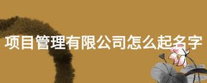 項目管理有限公司怎么起名字